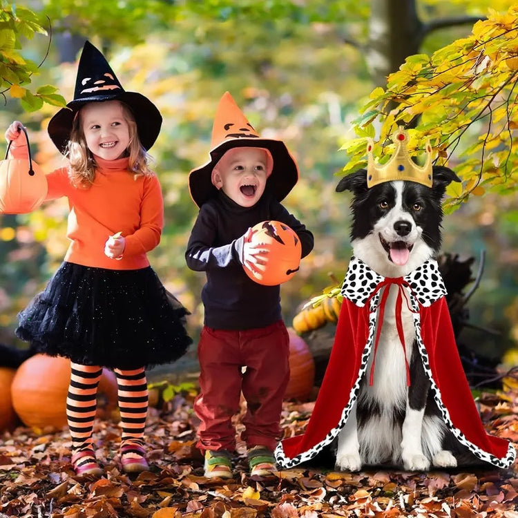 Doggies Merch® 👑 Royal Howl-o-Ween – Dog King Cloak Costume