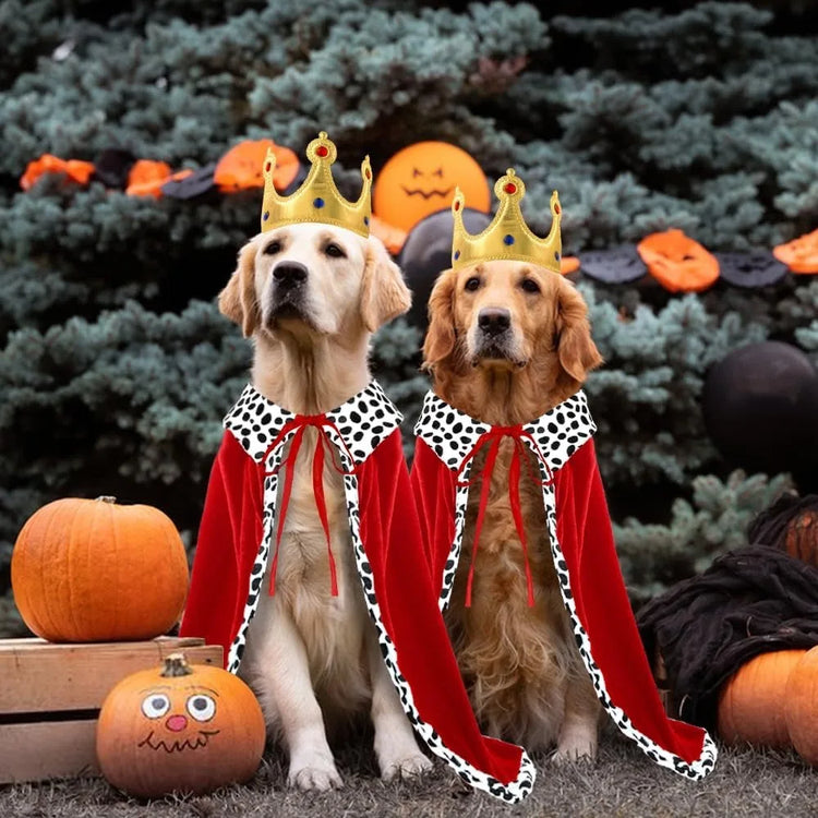 Doggies Merch® 👑 Royal Howl-o-Ween – Dog King Cloak Costume