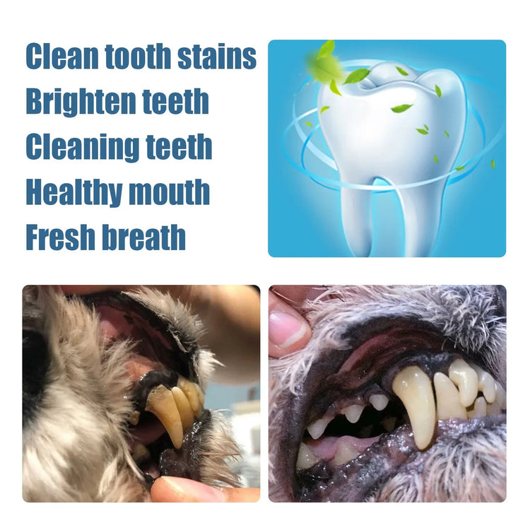 Doggies Merch® Toothbrush Pen