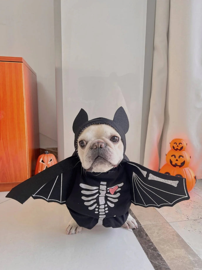 🦇 Dog Bat Costume – Spooktacular Style for Your Pup!