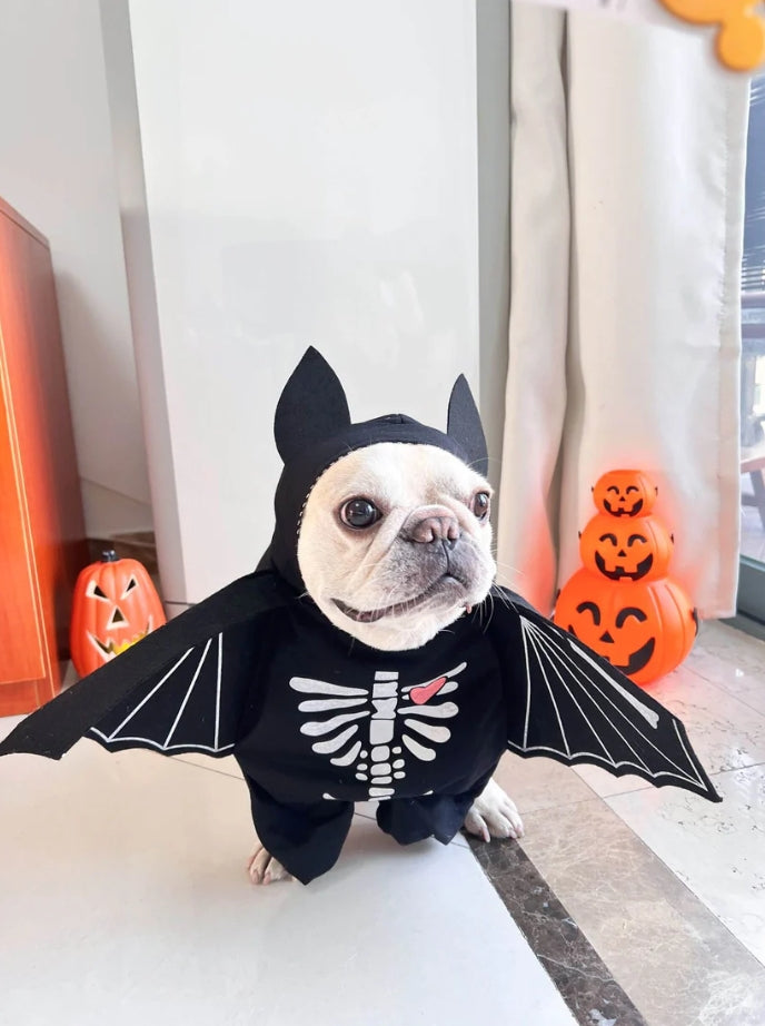 🦇 Dog Bat Costume – Spooktacular Style for Your Pup!