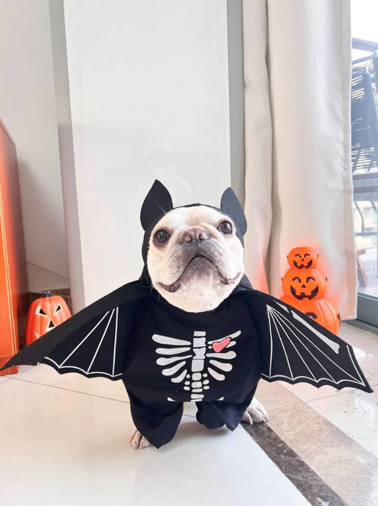 🦇 Dog Bat Costume – Spooktacular Style for Your Pup!