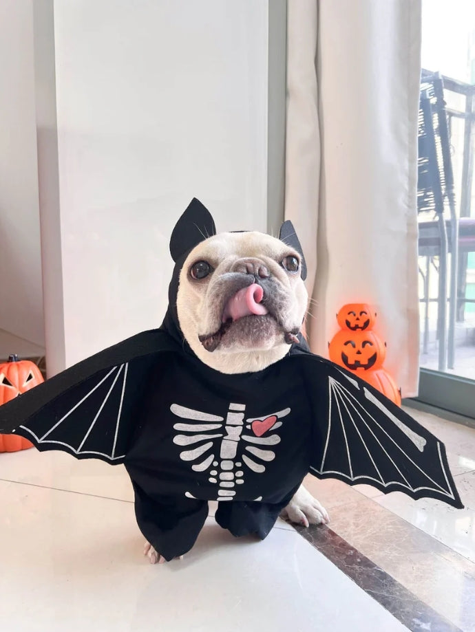 🦇 Dog Bat Costume – Spooktacular Style for Your Pup!