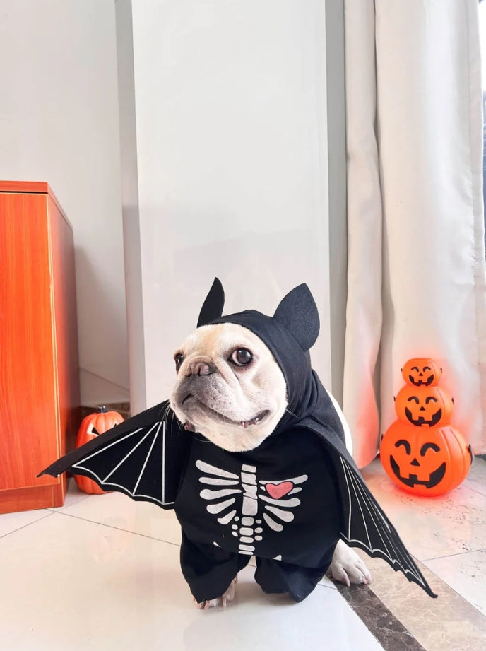 🦇 Dog Bat Costume – Spooktacular Style for Your Pup!