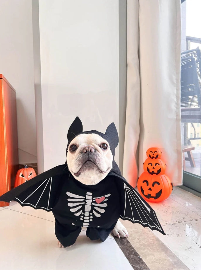 🦇 Dog Bat Costume – Spooktacular Style for Your Pup!