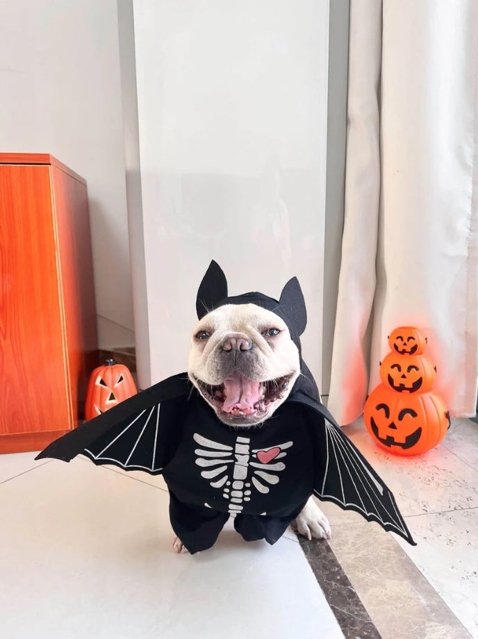 🦇 Dog Bat Costume – Spooktacular Style for Your Pup!
