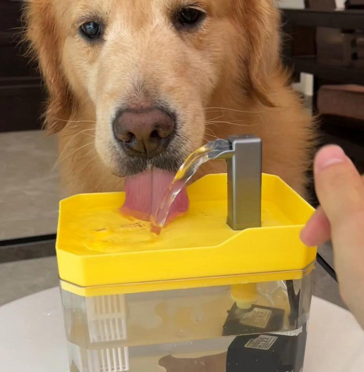 Doggies Merch® Water Fountain