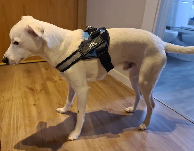 Doggies Merch® Ultimate NO PULL Harnesses