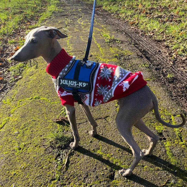 Doggies Merch® Festive Sweaters