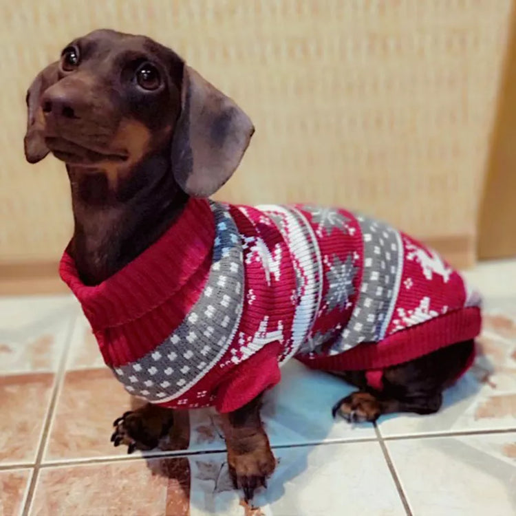 Doggies Merch® Festive Sweaters