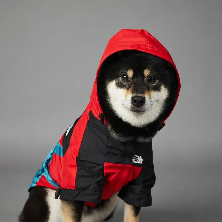 Doggies Merch® The Dog Face Waterproof Jacket