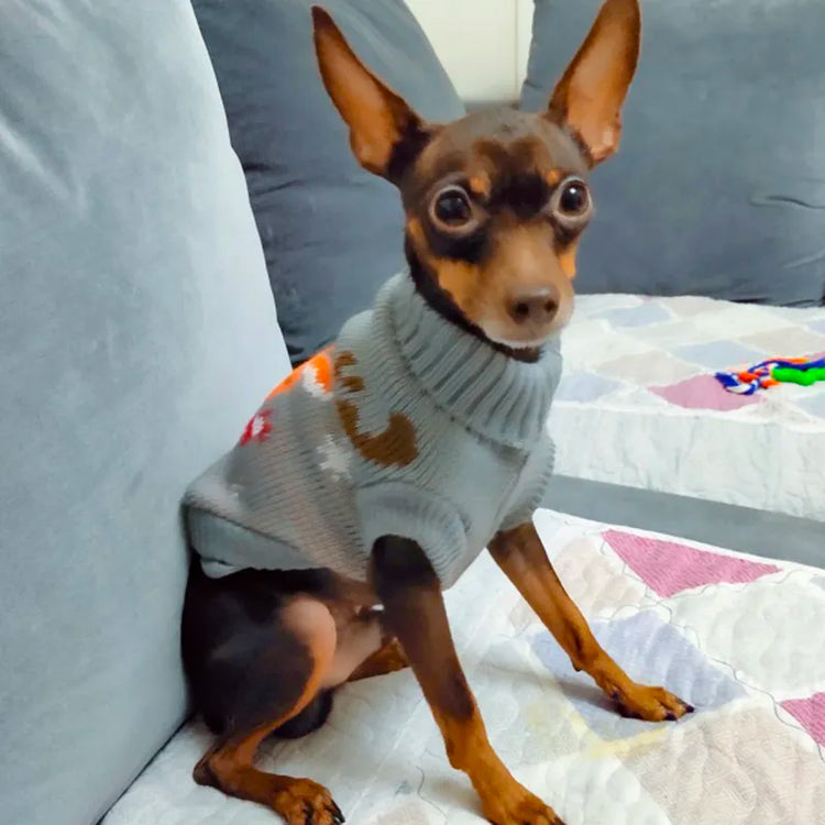 Doggies Merch® Festive Sweaters