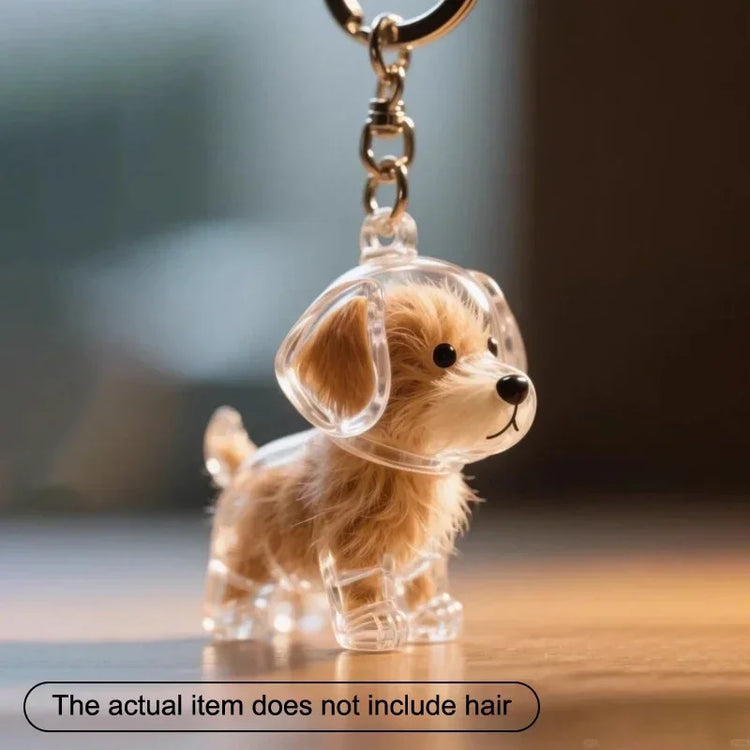 🐾 Keepsake Capsule Keychain – Memory Holder for Pets