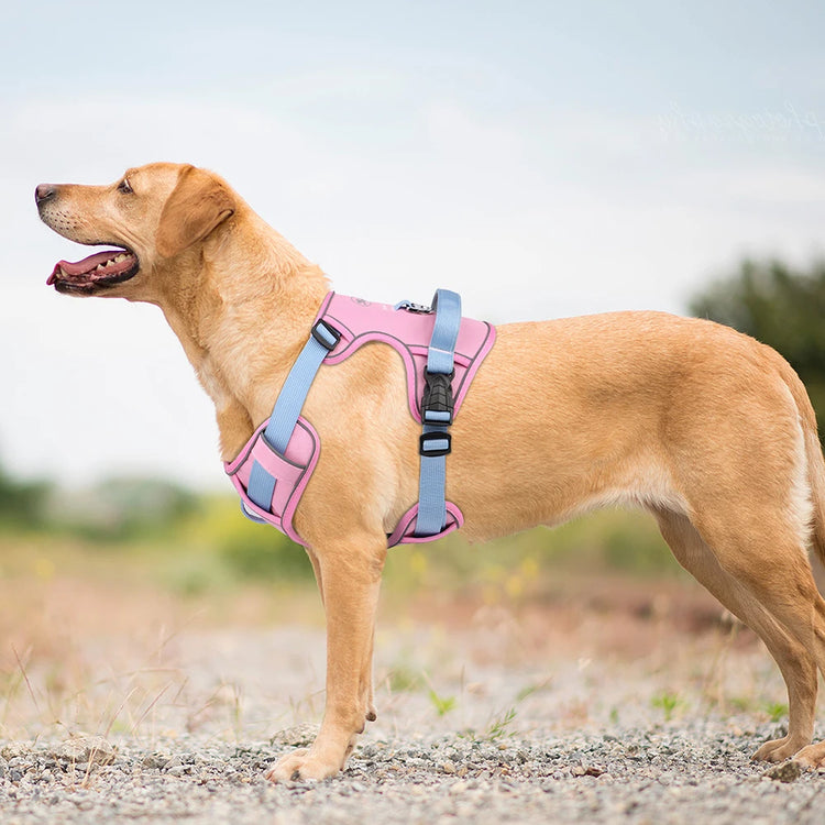 Doggies Merch® Non Pull Reflective Harnesses