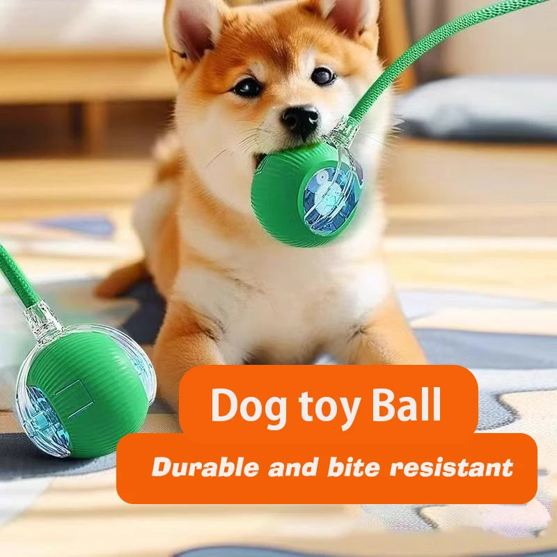⚡ Interactive Rolling Ball Dog Toy – Extended Battery Edition
