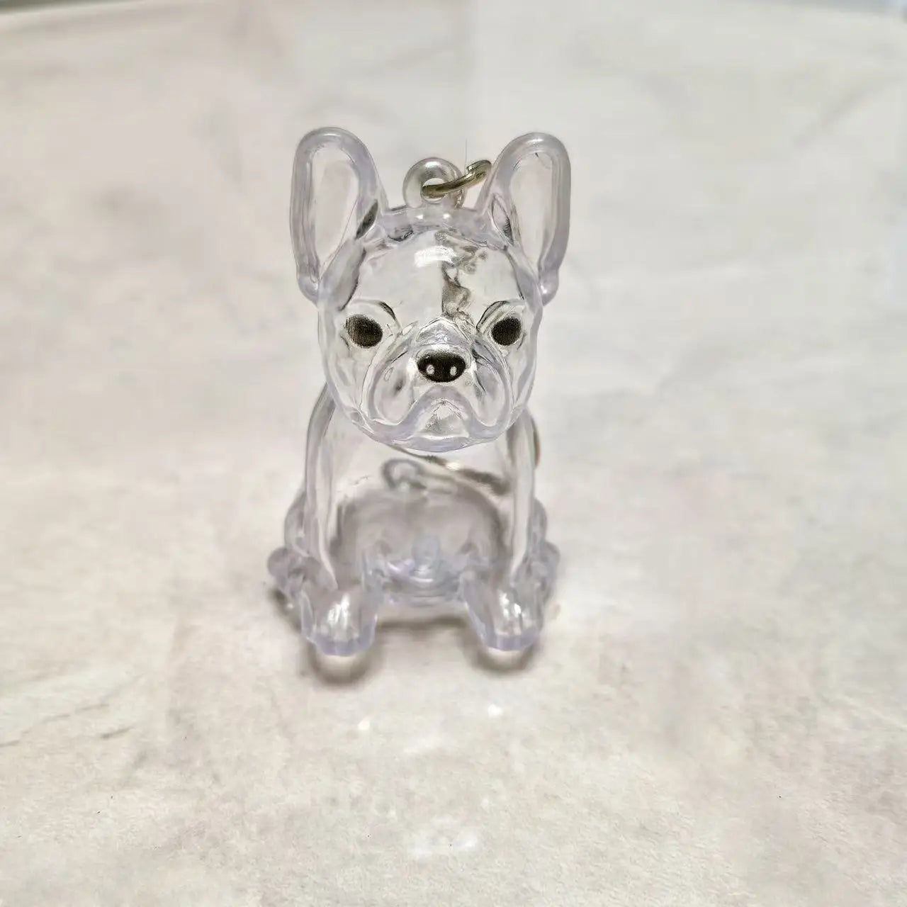 🐾 Keepsake Capsule Keychain – Memory Holder for Pets
