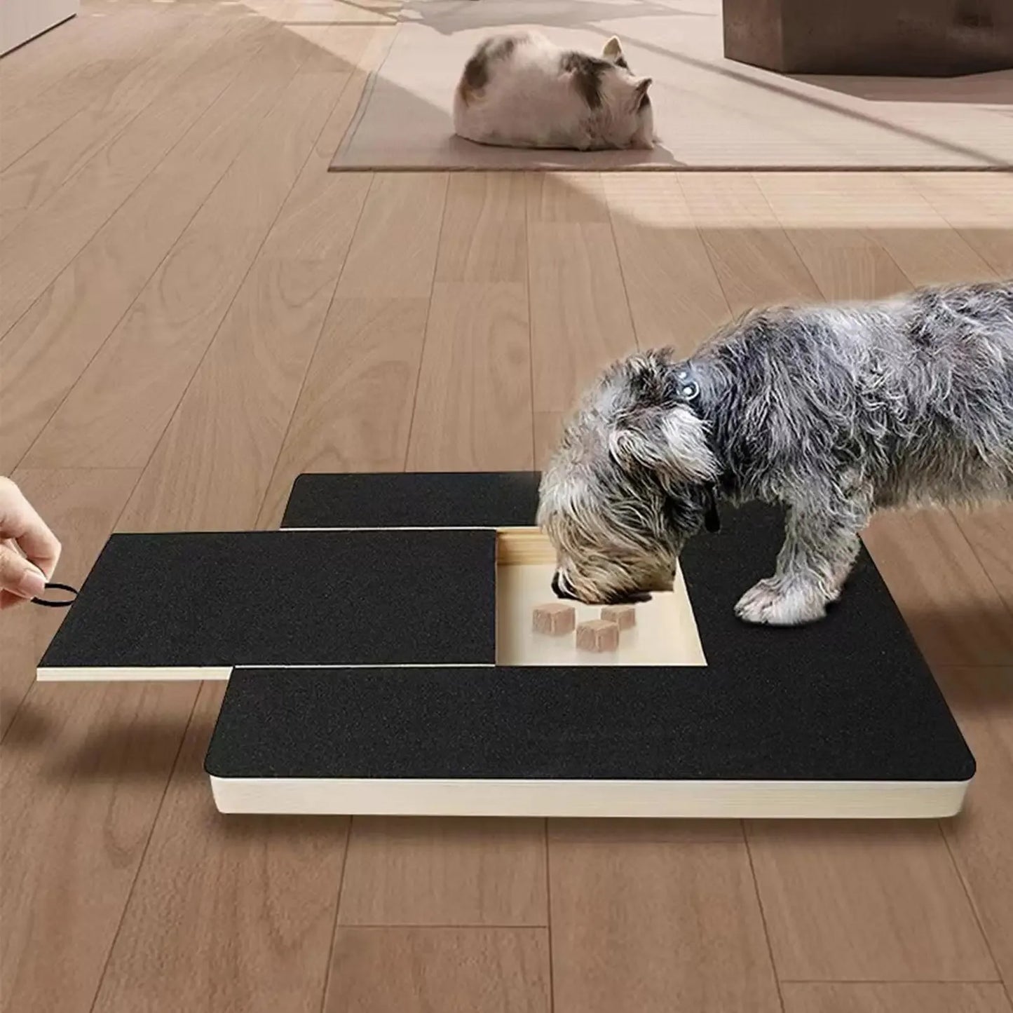 PawEase™ - Dog Nail Scratch Board