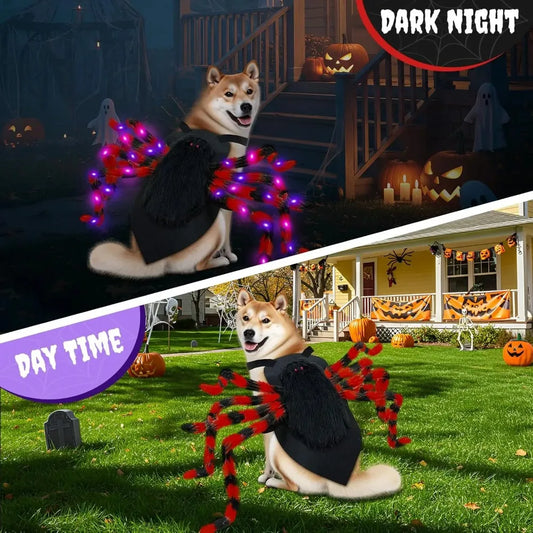 Doggies Merch®  🕷️ Spooky Spider Dog Costume