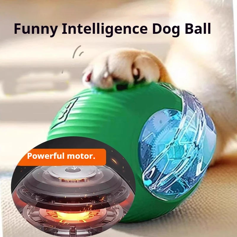 ⚡ Interactive Rolling Ball Dog Toy – Extended Battery Edition