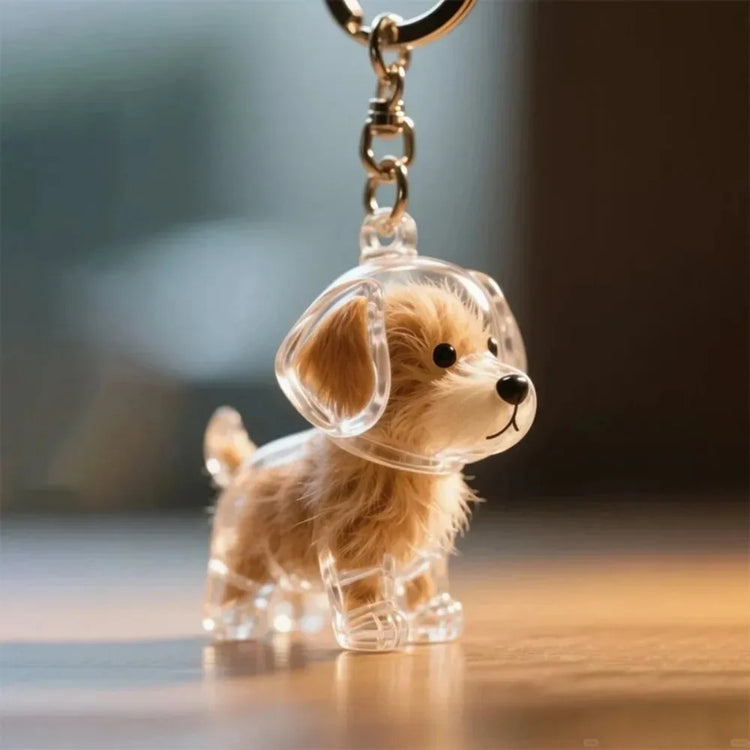 🐾 Keepsake Capsule Keychain – Memory Holder for Pets