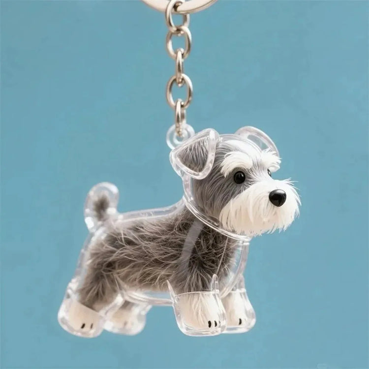 🐾 Keepsake Capsule Keychain – Memory Holder for Pets
