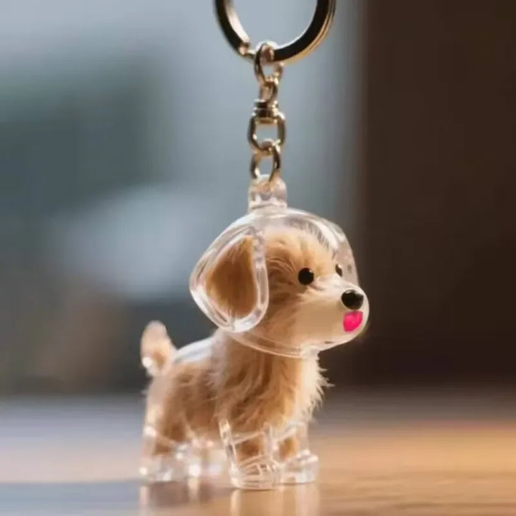 🐾 Keepsake Capsule Keychain – Memory Holder for Pets