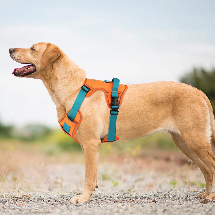 Doggies Merch® Non Pull Reflective Harnesses