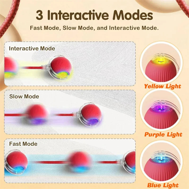 ⚡ Interactive Rolling Ball Dog Toy – Extended Battery Edition