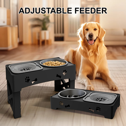 🐶 3-in-1 Dog Bowl Set – Clean, Healthy, Hassle-Free Mealtime