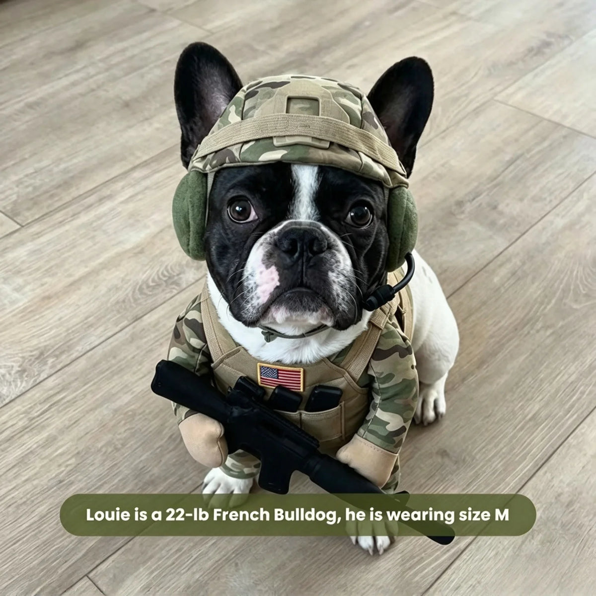 🪖 Major Woof™ Tactical Dog Costume