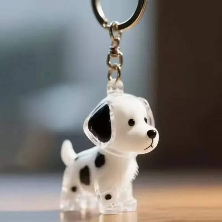 🐾 Keepsake Capsule Keychain – Memory Holder for Pets