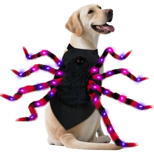Doggies Merch®  🕷️ Spooky Spider Dog Costume