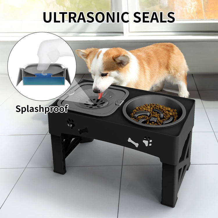 🐶 3-in-1 Dog Bowl Set – Clean, Healthy, Hassle-Free Mealtime