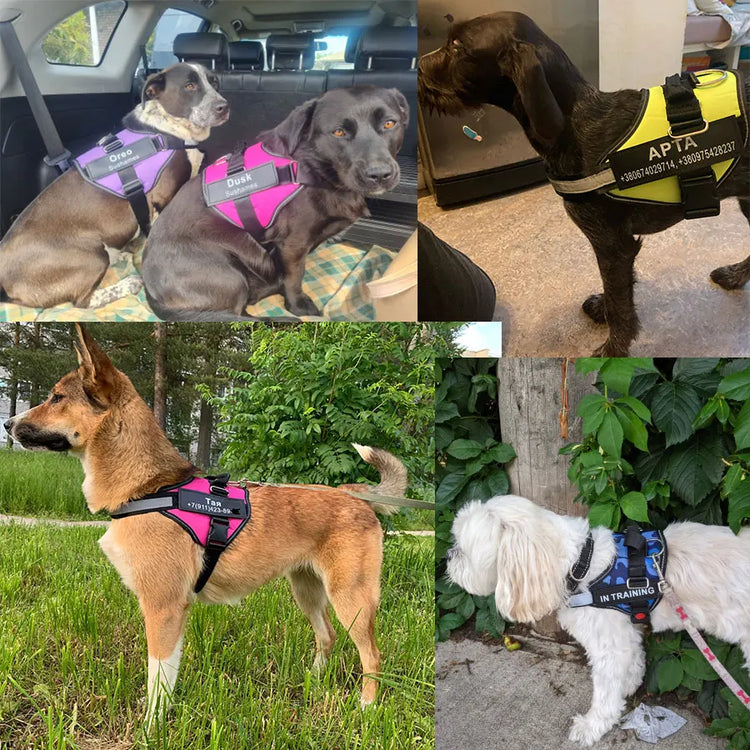 Doggies Merch® Ultimate NO PULL Harnesses