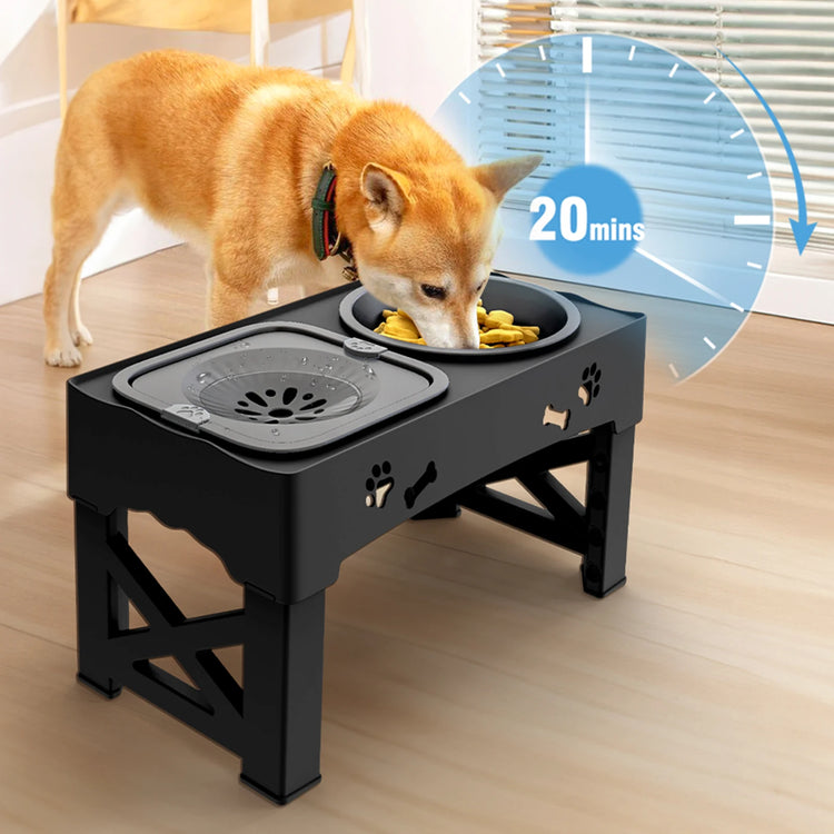 🐶 3-in-1 Dog Bowl Set – Clean, Healthy, Hassle-Free Mealtime