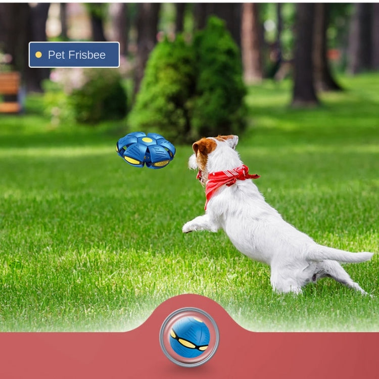 Doggies Merch® Flying Saucer Ball