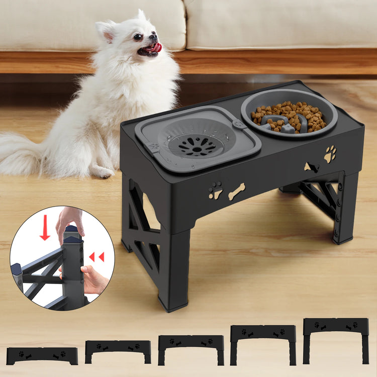🐶 3-in-1 Dog Bowl Set – Clean, Healthy, Hassle-Free Mealtime