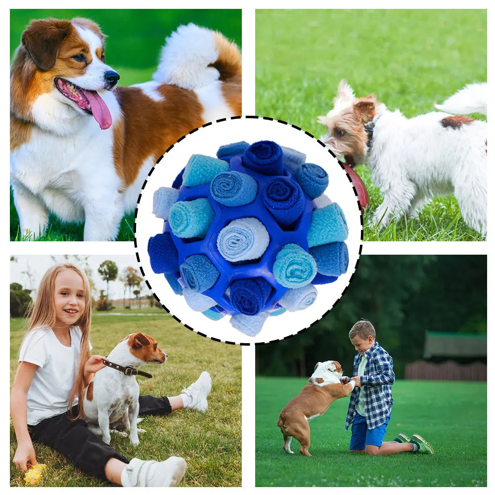 🐶 Interactive Dog Sniffing Ball – Foraging & Training Toy