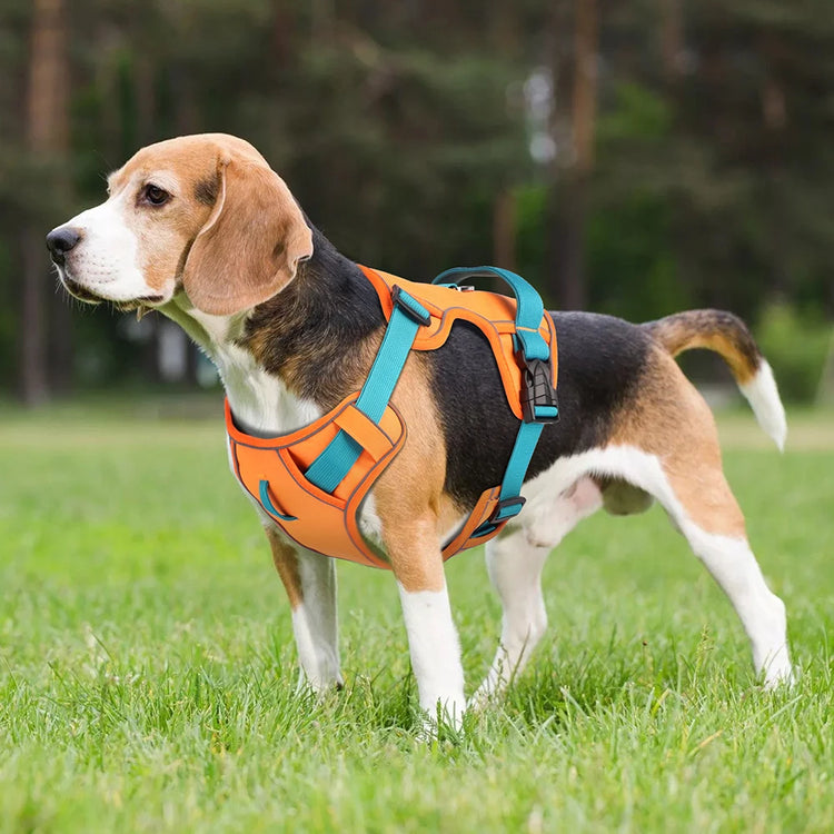 Doggies Merch® Non Pull Reflective Harnesses