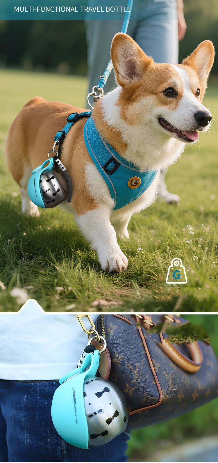 Portable Pet Water Bottle