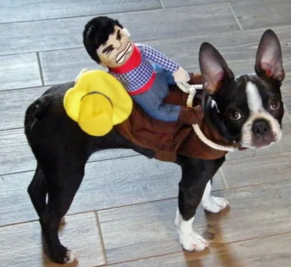 Doggies Merch® 🤠 Giddy-Up Pup! – Cowboy Rider Pet Costume
