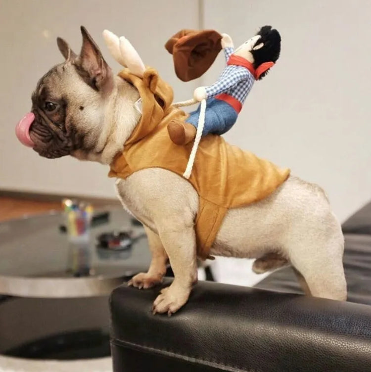 Doggies Merch® 🤠 Giddy-Up Pup! – Cowboy Rider Pet Costume