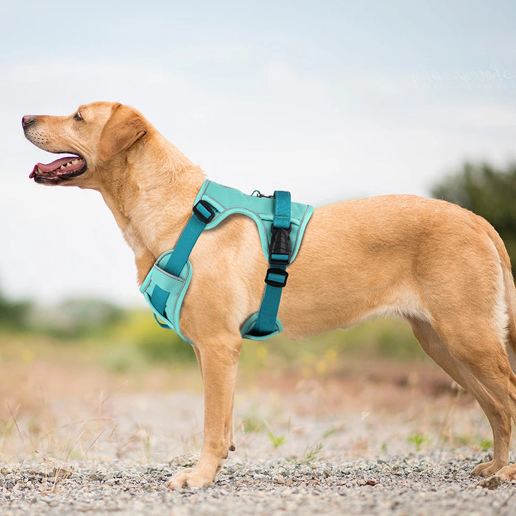 Doggies Merch® Non Pull Reflective Harnesses