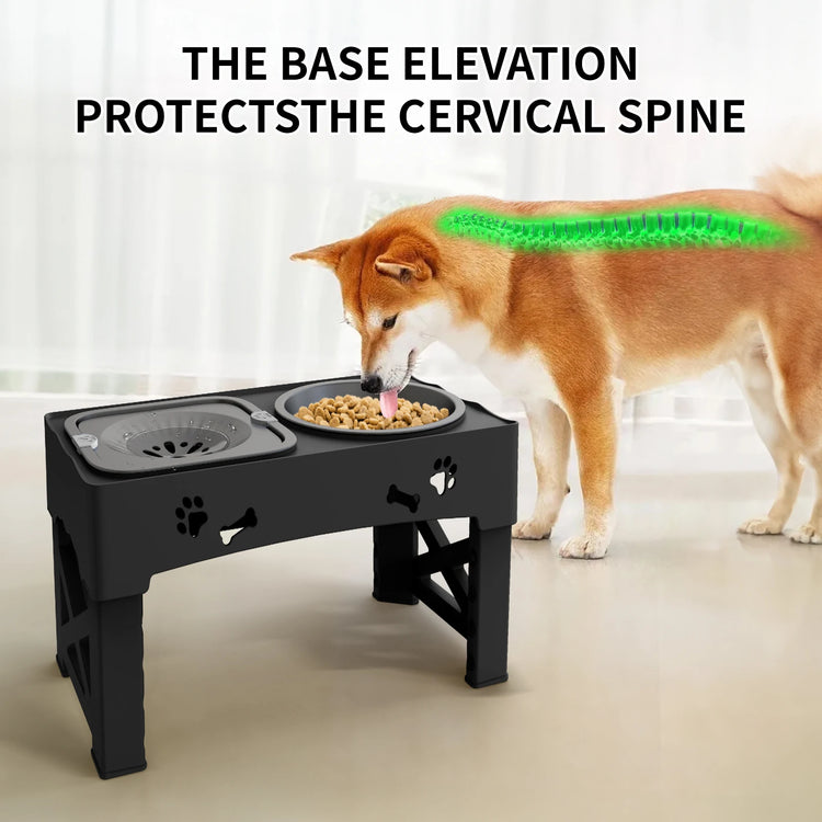🐶 3-in-1 Dog Bowl Set – Clean, Healthy, Hassle-Free Mealtime