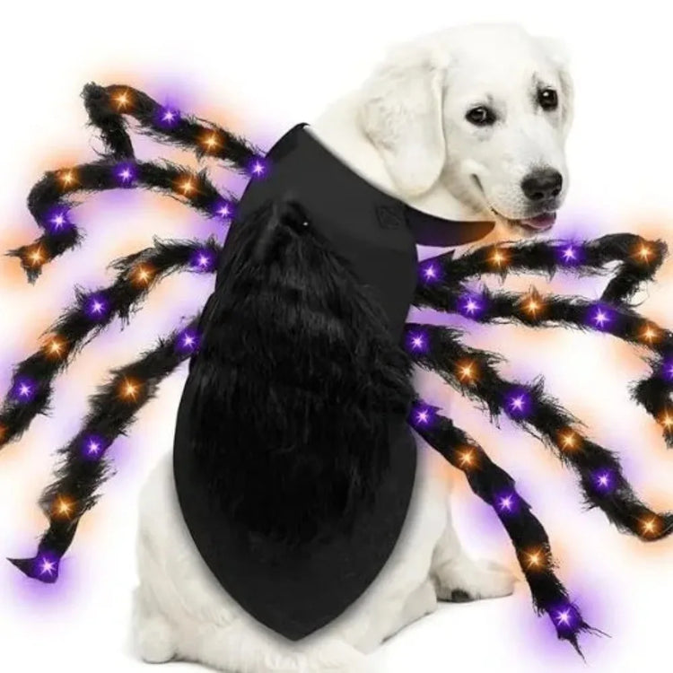 Doggies Merch®  🕷️ Spooky Spider Dog Costume