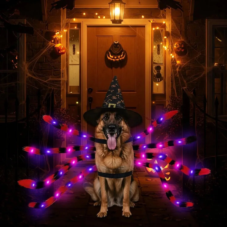 Doggies Merch®  🕷️ Spooky Spider Dog Costume