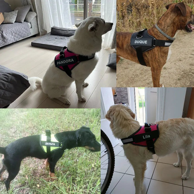 Doggies Merch® Ultimate NO PULL Harnesses