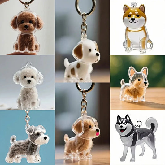 🐾 Keepsake Capsule Keychain – Memory Holder for Pets