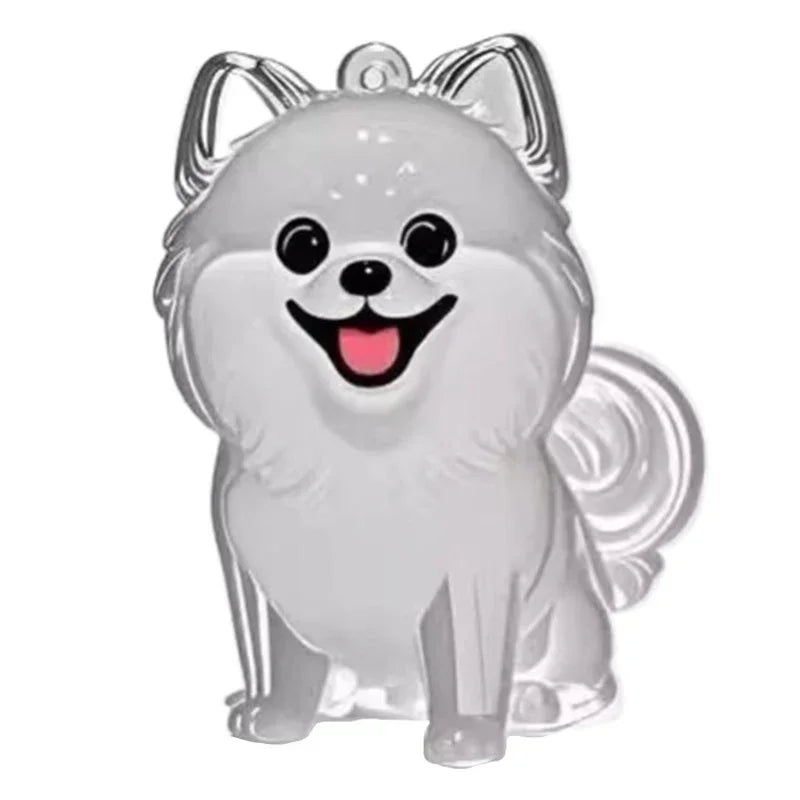 🐾 Keepsake Capsule Keychain – Memory Holder for Pets