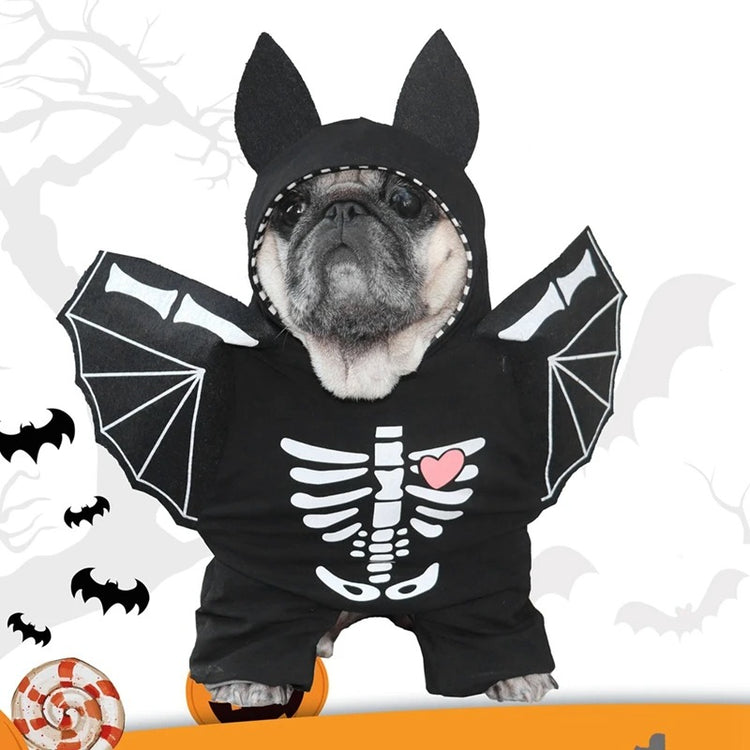 🦇 Dog Bat Costume – Spooktacular Style for Your Pup!